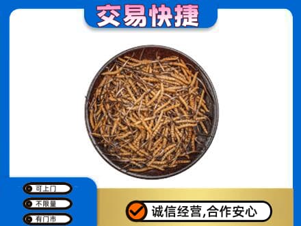 文昌礼品回收虫草.jpg
